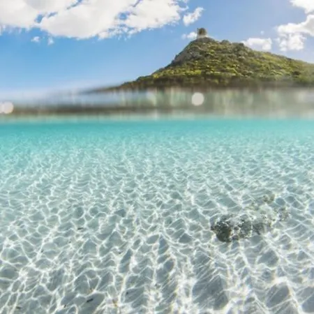 Tuffarsi Nel Paradiso *