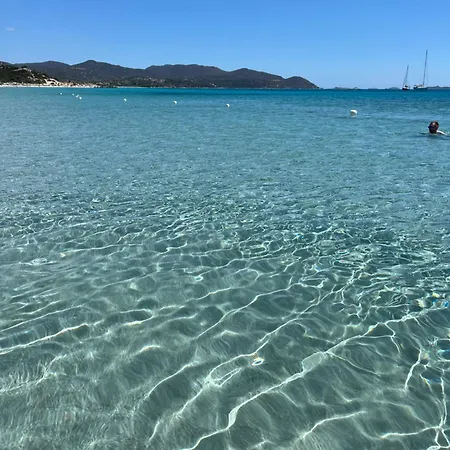 Tuffarsi Nel Paradiso *