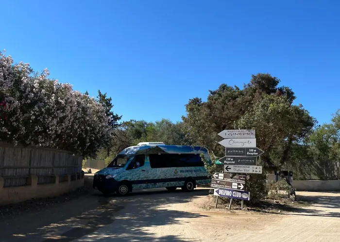 Tuffarsi Nel Paradiso *