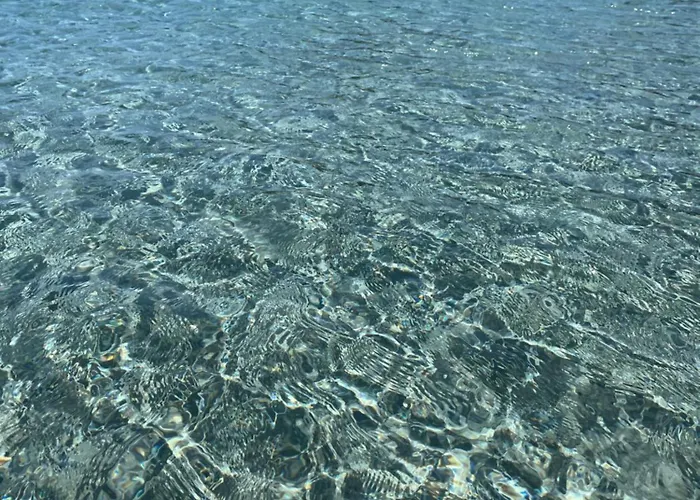 Tuffarsi Nel Paradiso