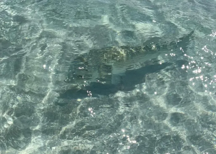 Tuffarsi Nel Paradiso Villasimius