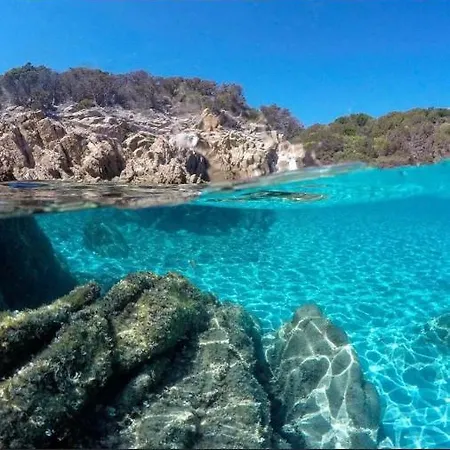 Tuffarsi Nel Paradiso וילסימיוס