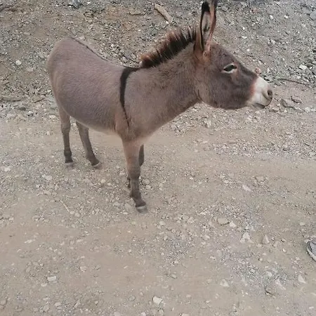 Tuffarsi Nel Paradiso בית נופש וילסימיוס