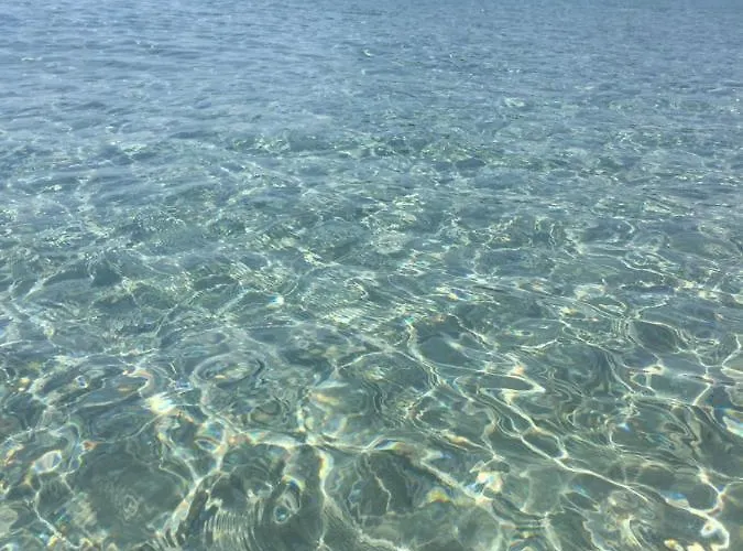 Tuffarsi Nel Paradiso