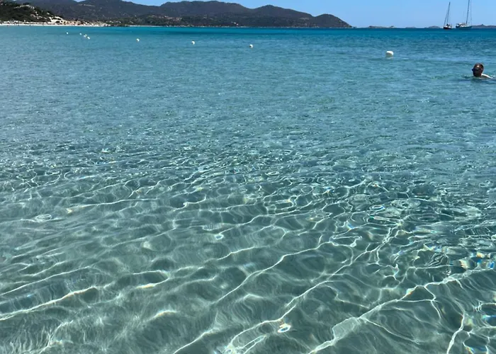 Tuffarsi Nel Paradiso *