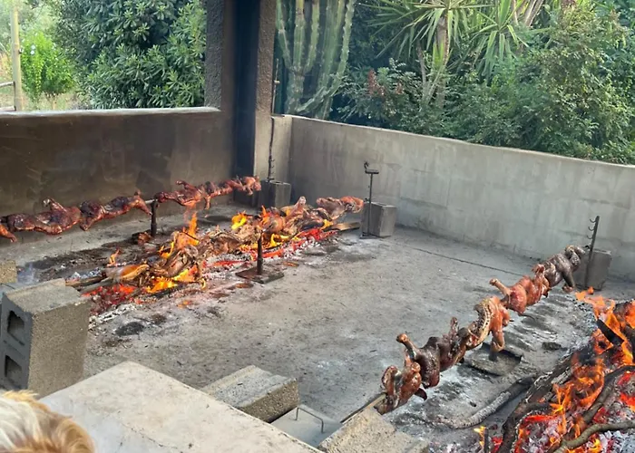 Tuffarsi Nel Paradiso *