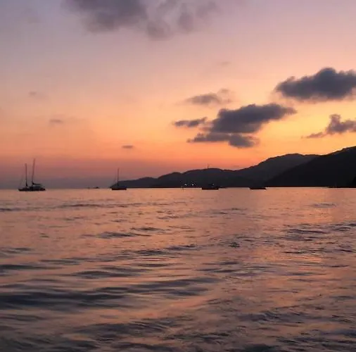 Tuffarsi Nel Paradiso * 维拉西米乌斯